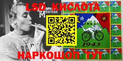 прущие грибы Бийск