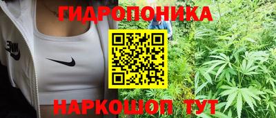 прущие грибы Берёзовский