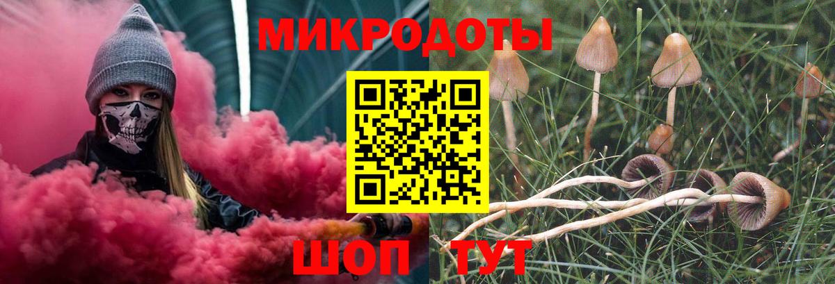 Галлюциногенные грибы Cubensis Изобильный