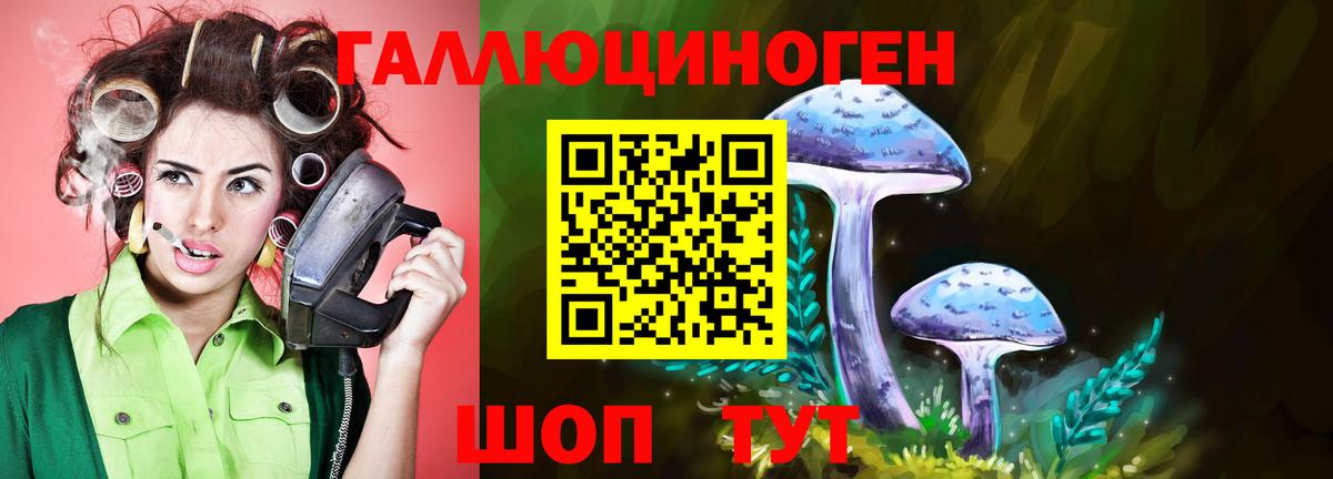 магазин    Галлюциногенные грибы GOLDEN TEACHER  Вход с VPN  Изобильный 